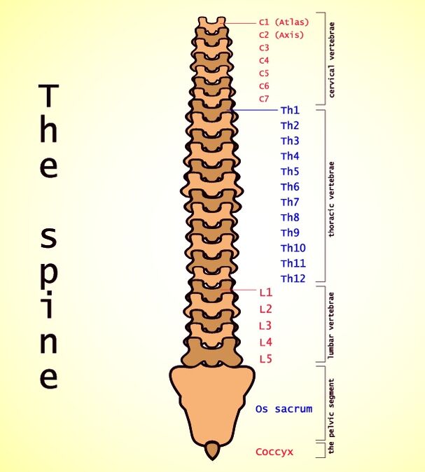 Lumbar Osteochondrosis