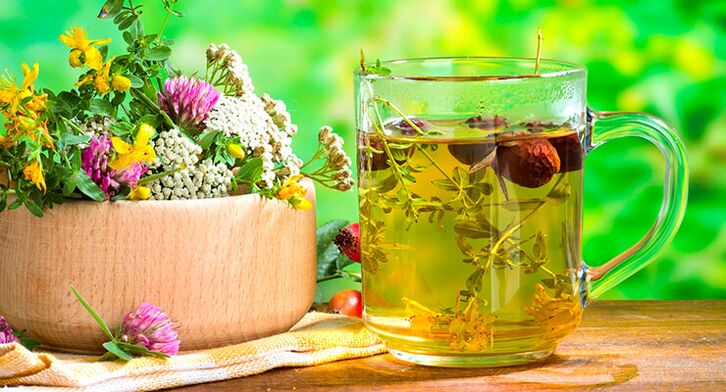 trà thảo mộc điều trị viêm khớp háng
